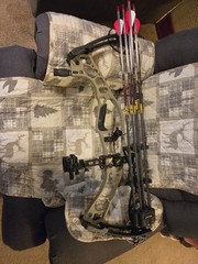 hoyt enduro compound bow, Right hand 60lbs , 29″ draw length