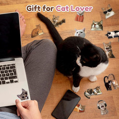 100Pcs Cat Stickers | Cute Funny Meme Bulk | Waterproof PVC Vinyl Stickers for W