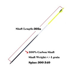 Archery Carbon Arrow 28 29 30 inch 300 340 350 400 Spine Practice Hunting Arr…