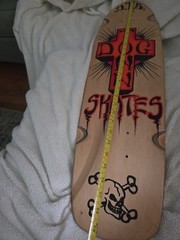 Dogtown Skates DTS deck