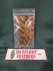 Trueflight Feathers 5 inch Parabolic Right Wing Brown Barred Dozen pack 