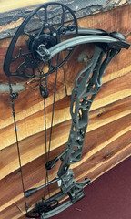 Mathews Lift X 28.5 Shale 28.5″D/L 60#D/W *Display Bow* -9312-
