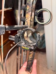 Bear Whitetail II Compound Bow Youth and Women Right Hand with Upgrades and Case