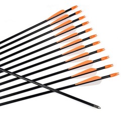 Elong Fiberglass Arrows Archery 24 Inch Target Shooting Practice Safetyglass …