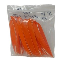 50 Count Archery Arrow Feathers 5″ Left Wing: Parabolic Fluorescent Orange
