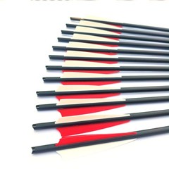 Hunting 20inch Crossbow Bolts Crossbow Arrows +/or 100 Grain Broadheads Shooting