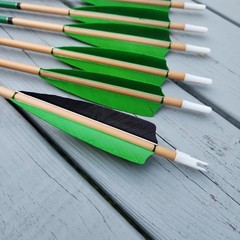 Half Dz 11/32 Cedar Arrows 31″ RW Fletch 5″ 30-40# With 125gn Field Points
