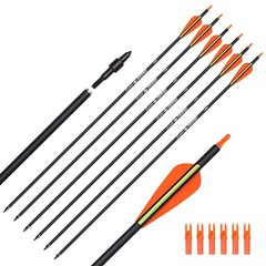 Carbon Arrow Hunting Arrows with 100 Grain Tip and Removable Tips for Archery…