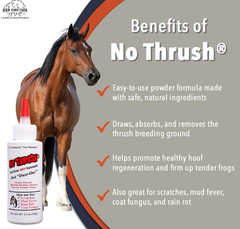 No Thrush Dry Powder Treatment for Horses by Four Oaks Farm Ventures – 2.5oz