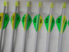 12 Gold Tip Hunter XT 340 Carbon Arrows Custom White Dip Crest/Blazer Vanes