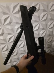 Gamo Swarm Whisper .22 Cal Pellet Break Barrel Rifle Air Gun