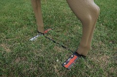 Portable 3D Archery Target Stand: Powder-Coated, Adjustable from 18.25″ to 29″