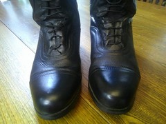 OVATION LADIES FLEX SPORT FIELD BOOT 7.5 REG CALF & BOOT BAG BOOT TREES EUC