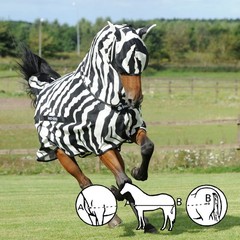 Bucas Buzz-Off Zebra Fly Sheet