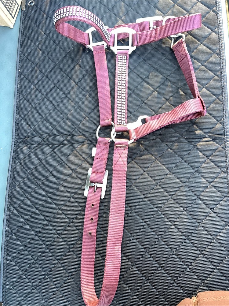 2-Ply Nylon Horse Halter w/ Crystal Rhinestones. Heavy Metal Buckles & Snap- New