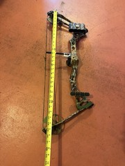 Bear Apprentice Youth Bow – 20-50 Lb – RH