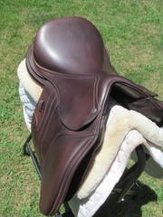 16.5″ SCHLEESE JETE close contact jumping saddle- WOOL FLOCKED- 2023 MODEL!!