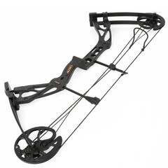 0-70lbs Compound Bow Set 320FPS Sight Carbon Arrows Feathers Shoting Archery