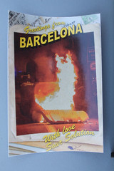 Sour Solution Skateboards Barcelona Spain Fire Punk Z75A Skateboarding STICKER