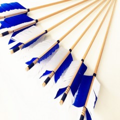 50pcs Multicolor Full length 7-9in Fletches RW Turkey Feather for Archery Arrows