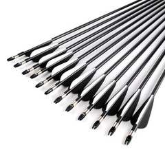 12Pcs Archery 30″ Fiberglass Arrows Spine 500 OD 8mm For Compound Recurve Bow