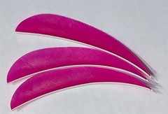 4″ New, FREE SHIPPING! Real Turkey Feather Fletching Arrows and Darts 25 Pack