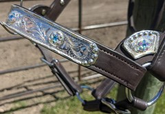 Silver Show Halter – Iridescent Stones – Dark Oil – Horse Size – Matching Lead