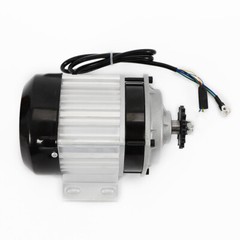 750W 48V Electric GoKart Tricycle Cart Brushless Motor Gear Reduction w/Control