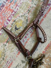Vintage Buckstitched Leather Halter & Matching Lead FREE SHIPPING