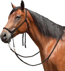 Nylon Bitless Bridle Reins Horse Control Unisex Basic Training Gear