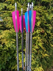 Gold Tip Warrior Carbon Arrows. 700, 600, 500, 400, 340, or 340. 6 Pack.