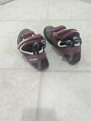 Evolv Elektra Strap Rock Climbing Shoes Womens US 7.5 (EU 38) with Box