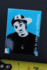 411 Video Magazine This Is Stevie Williams DGK BP3 Vintage Skateboarding STICKER