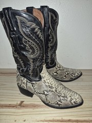 Dan Post python boot