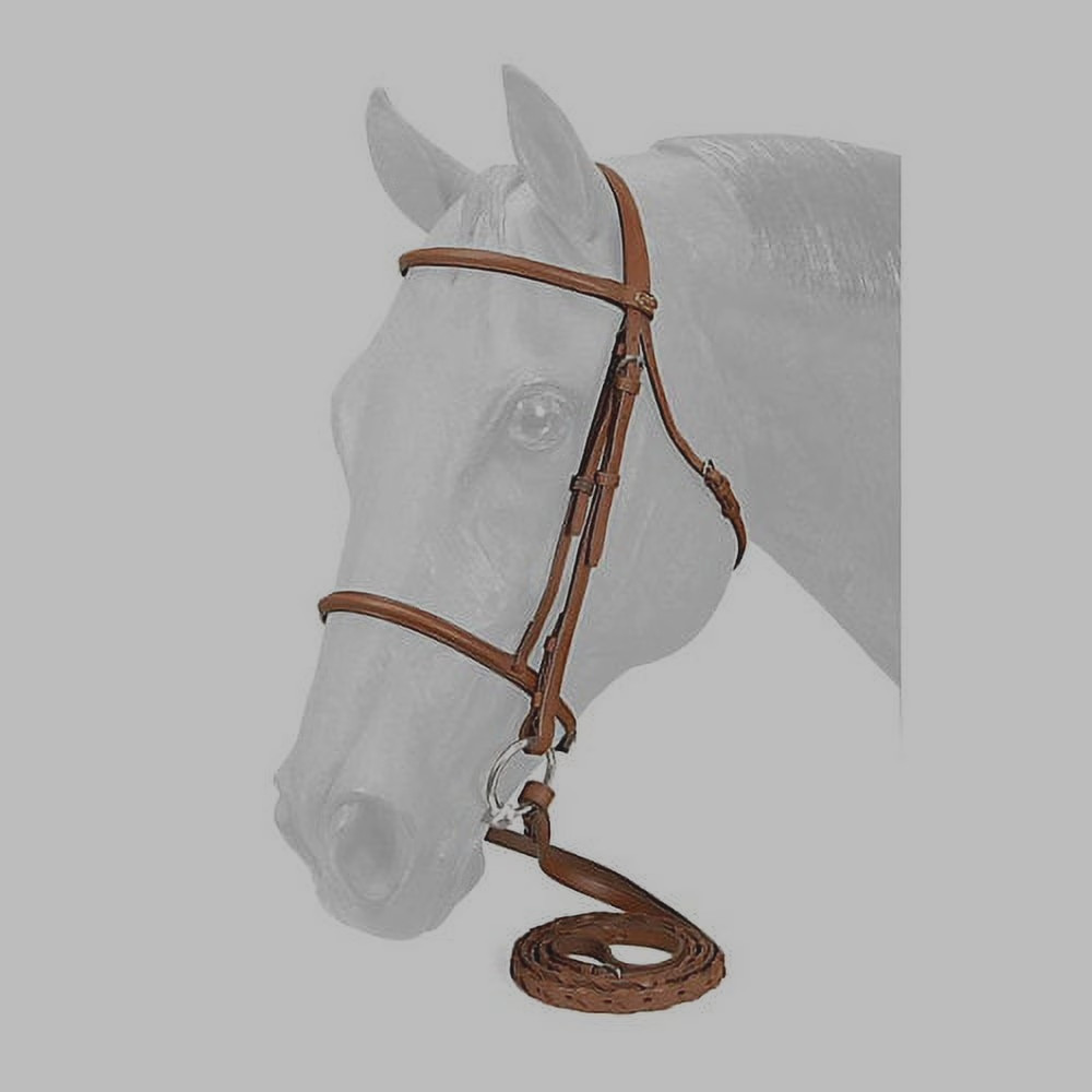 Treadstone English Saddle Warmblood/Large Size Horse Raised Brown Leather Bridle