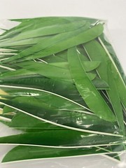100 PACK TrueFlight 5″ Inch Archery Feathers Right Wing Parabolic Cut Green NEW