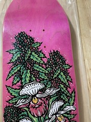 Todd Bratrud MN State Flowers Skateboard Limited 19/30 Nike SB 420 Strangelove