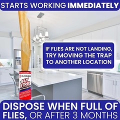 Versatile 10 Pack Fly Strips – Safe Indoor & Outdoor Sticky Pest Control