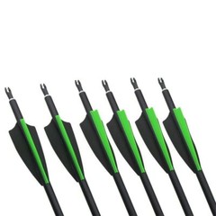 12Pcs 30 Inch Carbon Arrow Practice Hunting Arrow for Compound Bow Recurve Bow