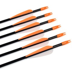 Elong Fiberglass Arrows Archery 26 Inch Target Shooting Practice Safetyglass …