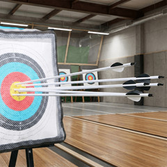24PCS 30 in Archery Arrows Carbon Shaft Spine 500 OD 7.8 mm with Removable Tips