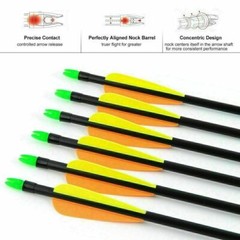 12pcs 30 inch Archery Fiberglass Arrows SP500 Hunting for Compound & Recurve Bow