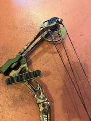 Bear Apprentice Youth Bow – 20-50 Lb – RH