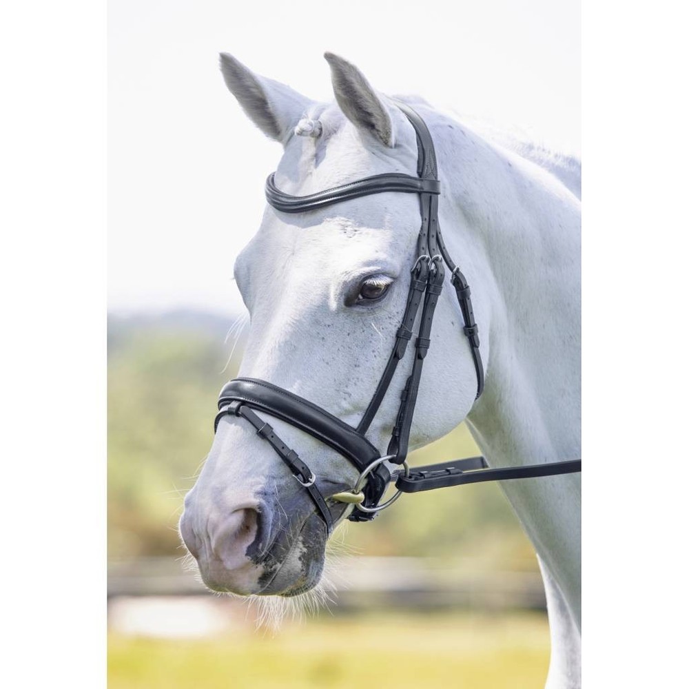 Shires Velociti Dressage Bridle with Flash