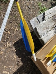 Vintage Lot Of 12 Wood Shaft Practice Arrows Some Need New Feathers
