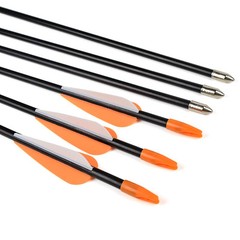 Elong Fiberglass Arrows Archery 26 Inch Target Shooting Practice Safetyglass …