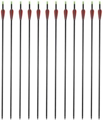 12Pcs 28″/30″ Carbon Archery Arrows Shaft Spine 500 with Removable Tips Target