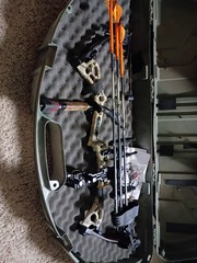 Bear bow. Bought Last Year Only Shot Number Of Times. Come With Hard Case