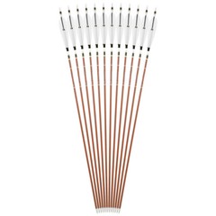 12X 31″ Pure Carbon Arrows Archery SP340-600 Compound Recurve Bow Tips Hunting