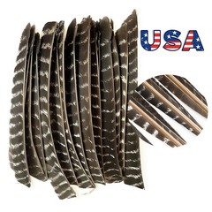 50X Arrow Feathers Archery Fletches LH/RH Wings Fletching Shooting DIY Hunting